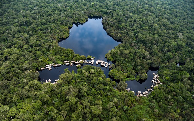 Congo Basin Peatlands