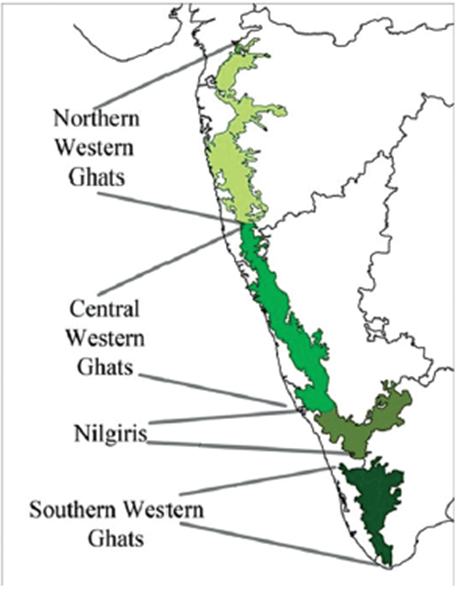 The Western Ghats or the Sahyadris