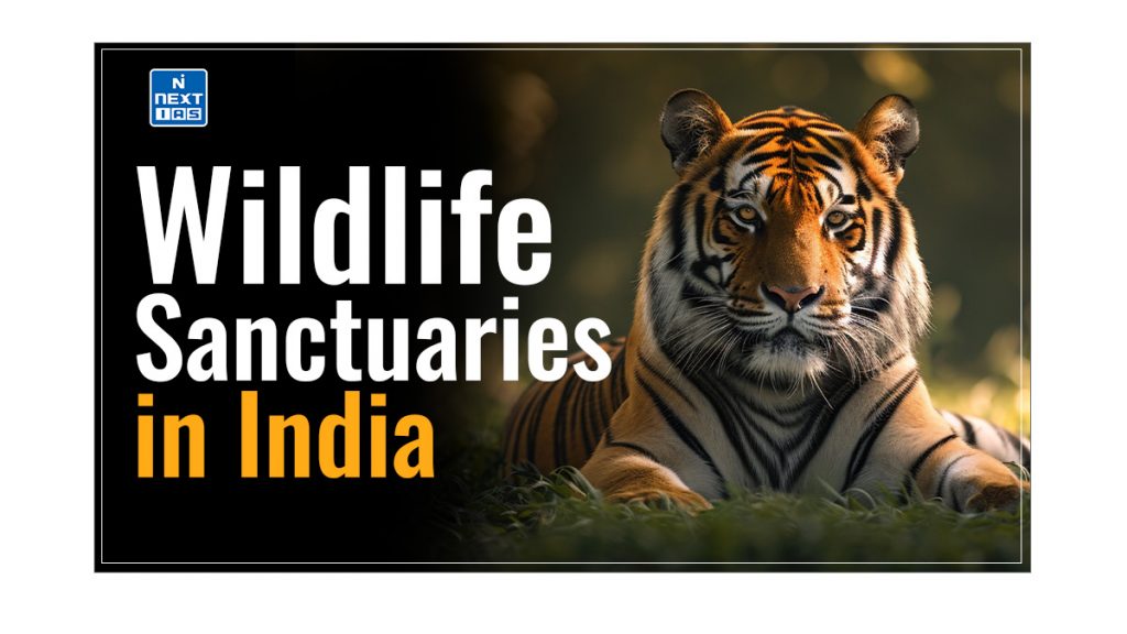 Wildlife Sanctuaries In India