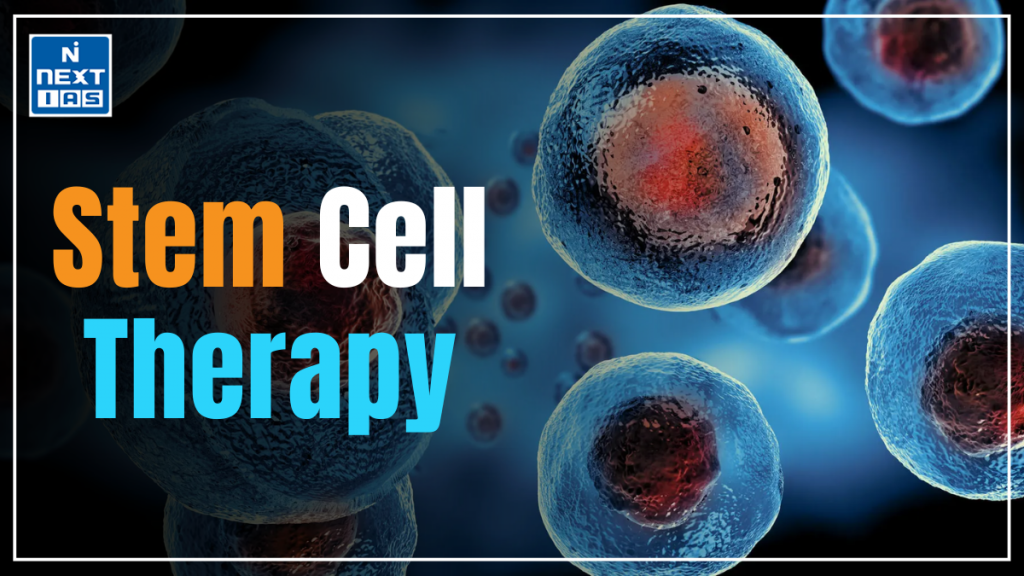 stem cell therapy