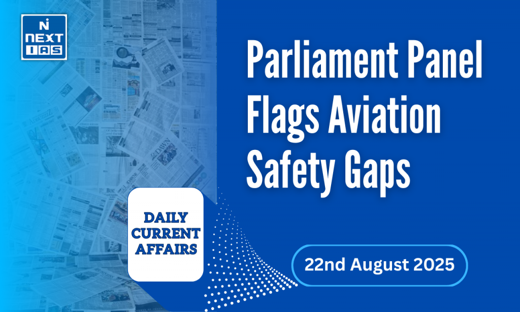 parliament flags aviation safety gaps