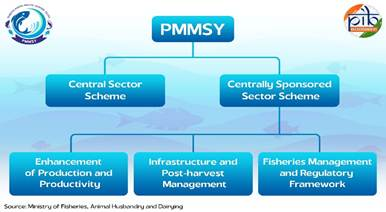 संरचना और घटक