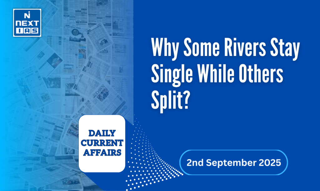 why some rivers stay single while others split