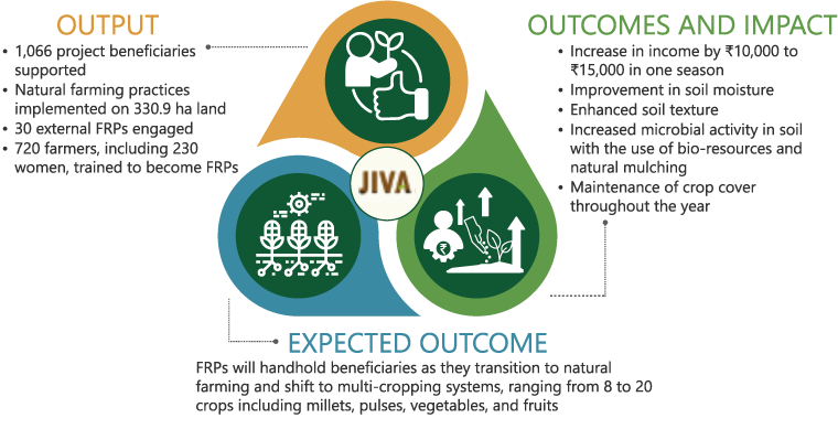 Components of JIVA Programme