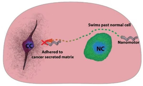 nanobots in cancer therapy