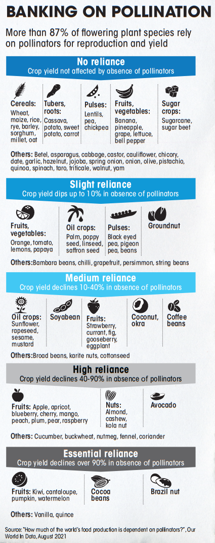 banking-on-pollination