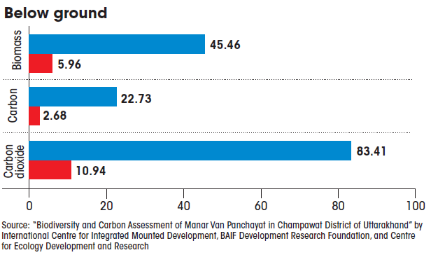 forest maintained by the manar van panchayat-below ground