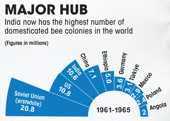 major-hub-of-domesticated-bee-colonies-in-the-world