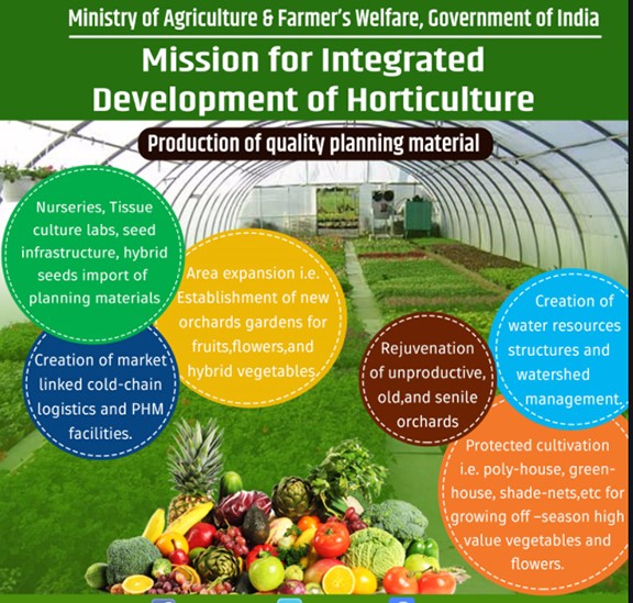 mission-for-integrated-development-of-hoticulture