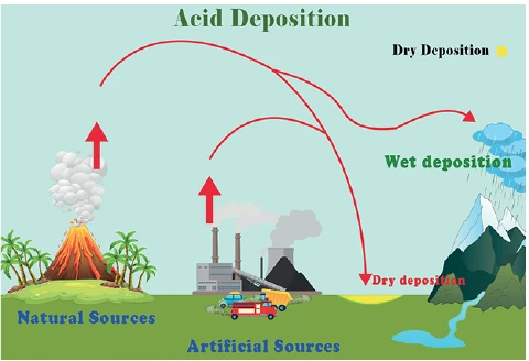acid deposition