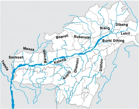 brahmaputra river system diagram