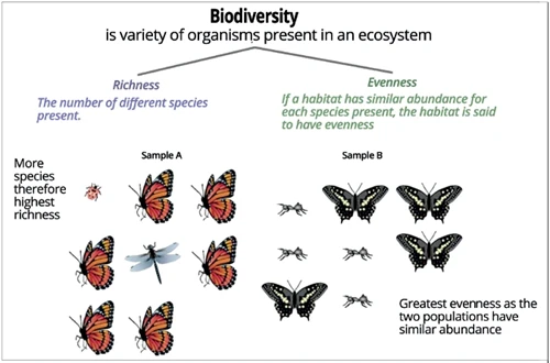 components biodiversity