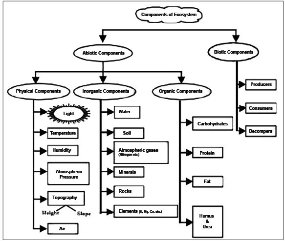 diagram of components of ecosystem