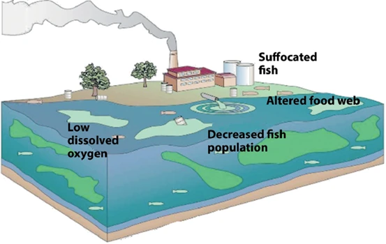 effects of thermal pollution