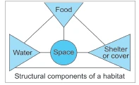 habitat