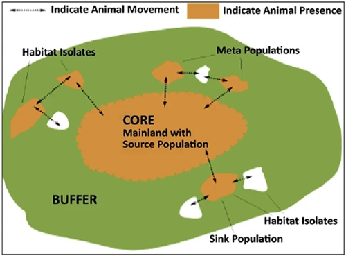 indicate animal movement