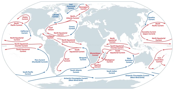 list of major cold and warm ocean currents 