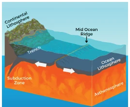 mid ocean ridges