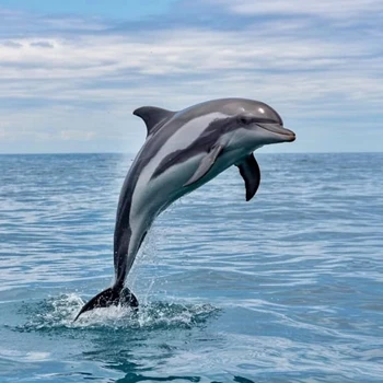national aquatic animal of india