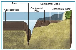 ocean deeps or trenches