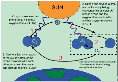 what is ozone layer depletion
