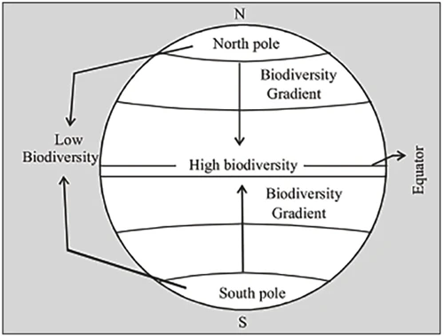 patterns of biodiversity