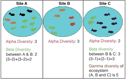 spatial components