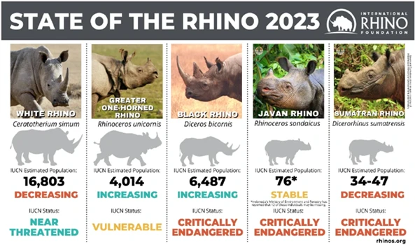 state of the rhino 2023