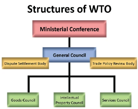 structure of wto