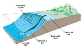 submarine canyon