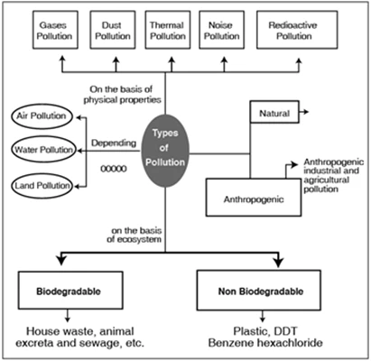 types of environmental pollution